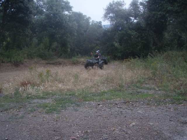 Por el campo